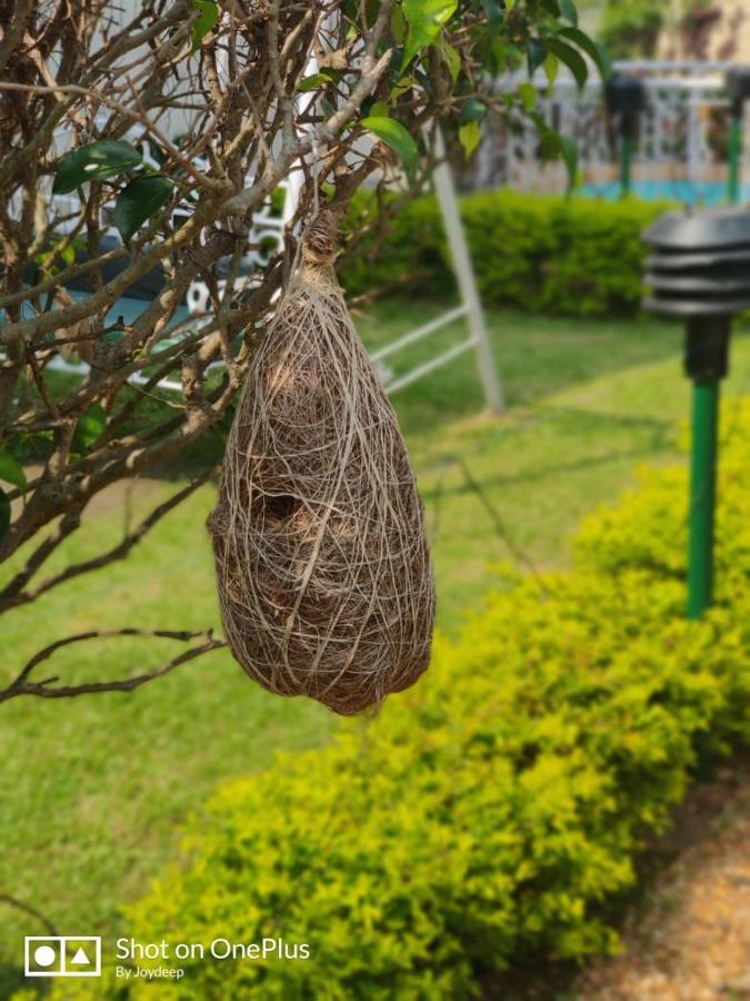 New Hemanjali Resort Bolpur Esterno foto